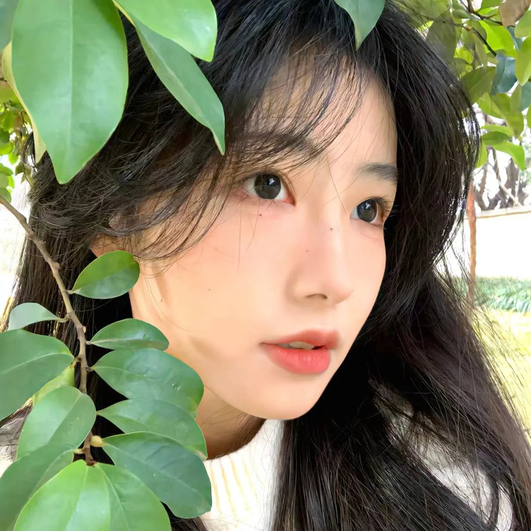 居住正义
